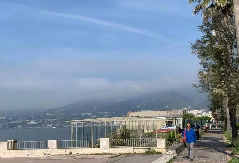 تختخواب و صبحانه My Home