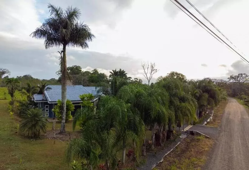 Hotelli Root Wellness Arenal