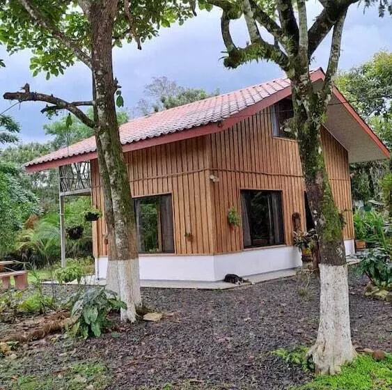 Hotelli Root Wellness Arenal