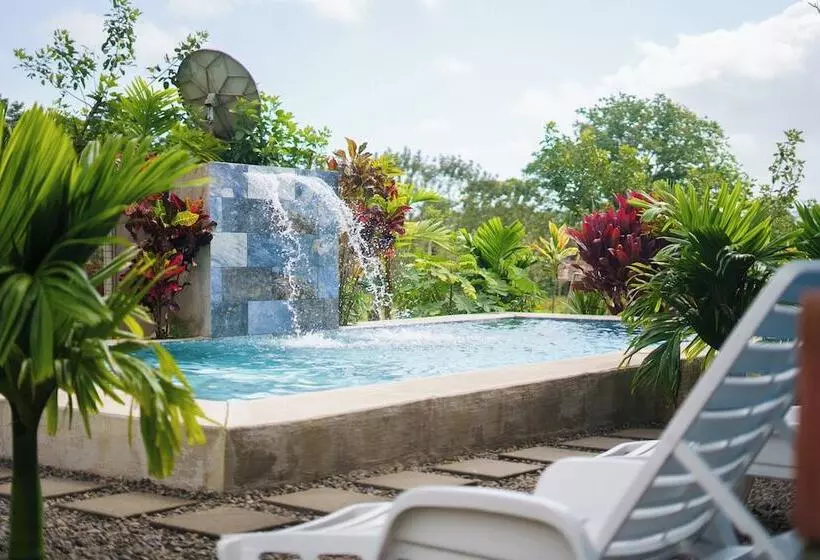 Hotelli Root Wellness Arenal