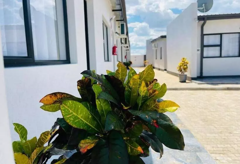 پانسیون Shafas Guest House