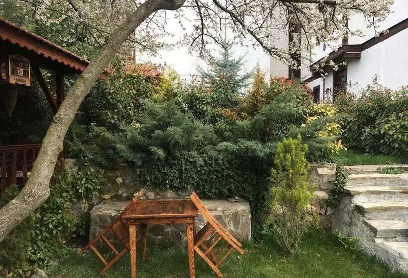 Aamiaismajoitus (B&B) Beyzadeler Konağı
