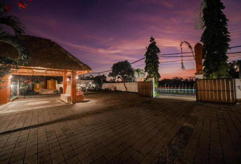 Отель Olo Surf Nature