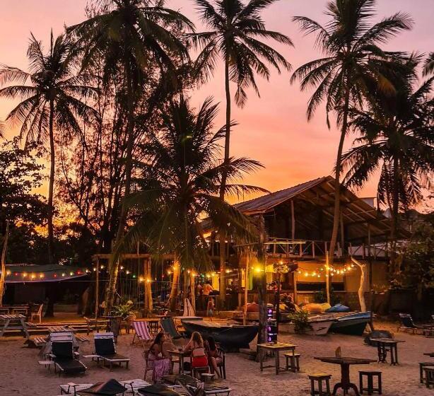 Отель Rolex Guest House