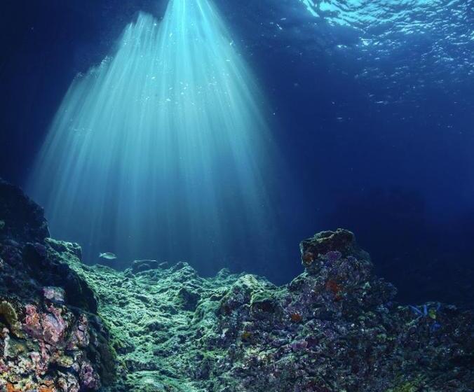 Отель Seaside Sanctuary Bungalows