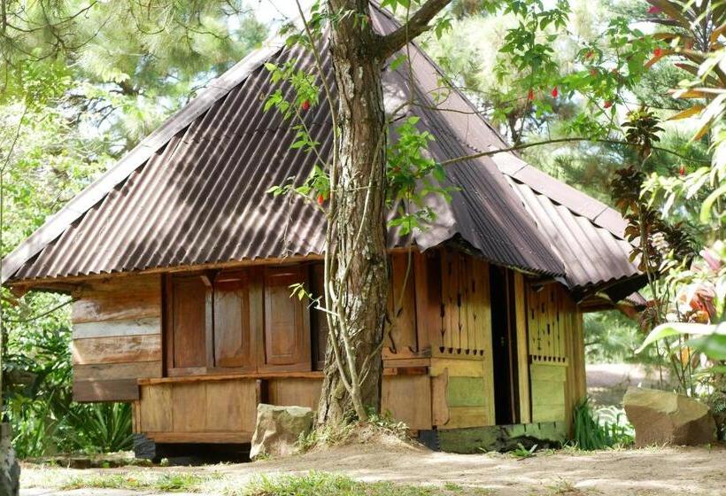 Hotel Tuny Restofarm