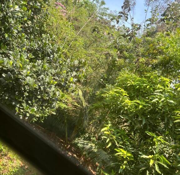 پانسیون Peace Aura  Near Auroville