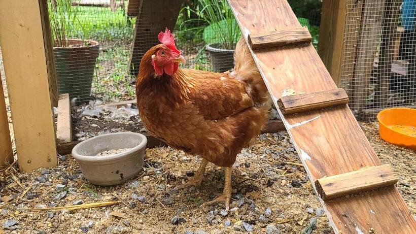 Panzió Quiet And Welcoming