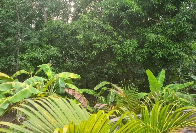 ペンション Surabhi Nature Villa , Private Floor Ac