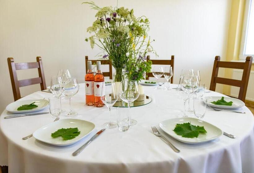 פנסיון Terra Wylak Winery