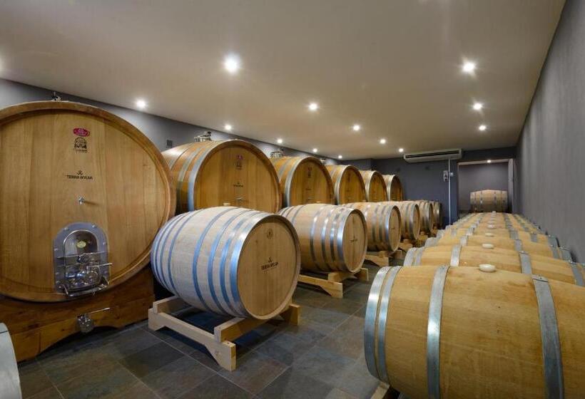 פנסיון Terra Wylak Winery