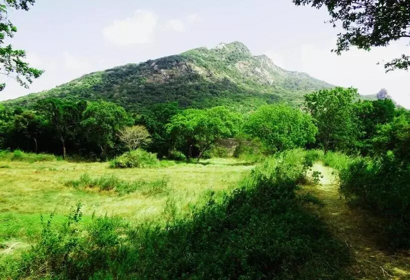 Lomakeskus Ritigalafoothills