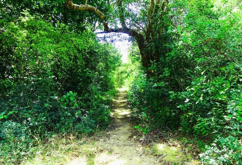 Resort Ritigalafoothills