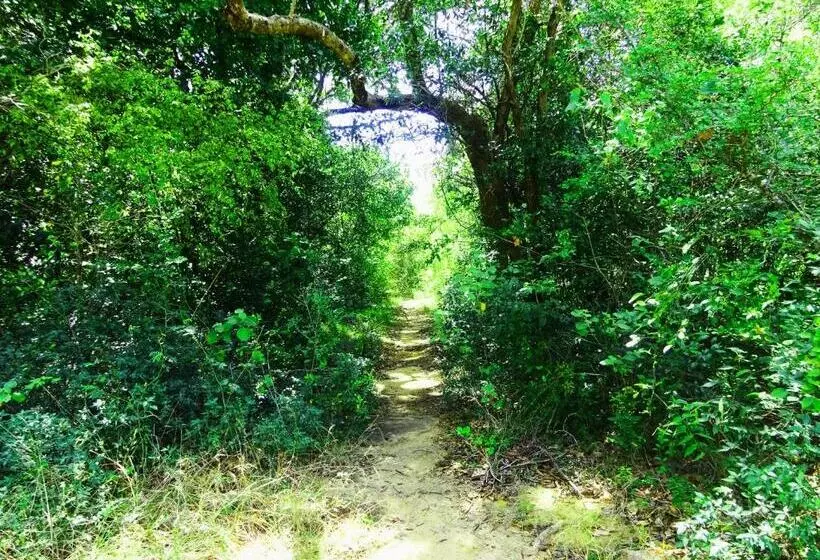 Lomakeskus Ritigalafoothills