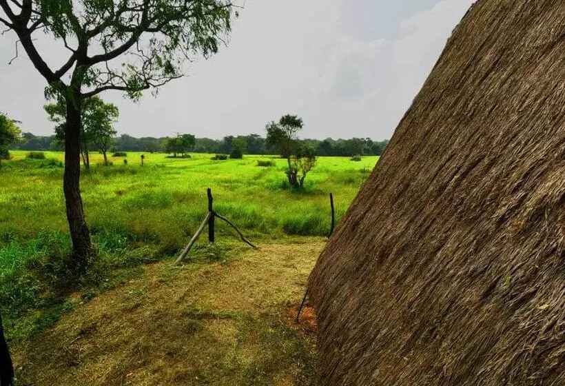 Lomakeskus Ritigalafoothills