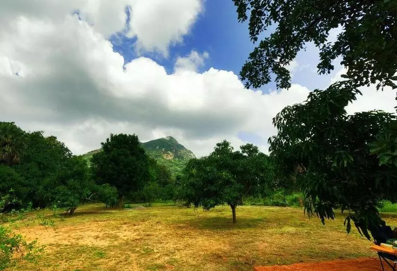 Lomakeskus Ritigalafoothills