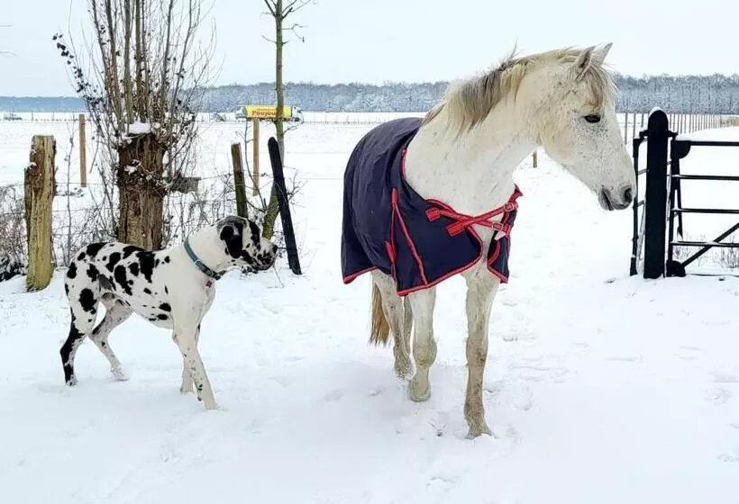 Aamiaismajoitus (B&B) Chambre D Hôtes Au Haras D Agathe Et Ses Princes
