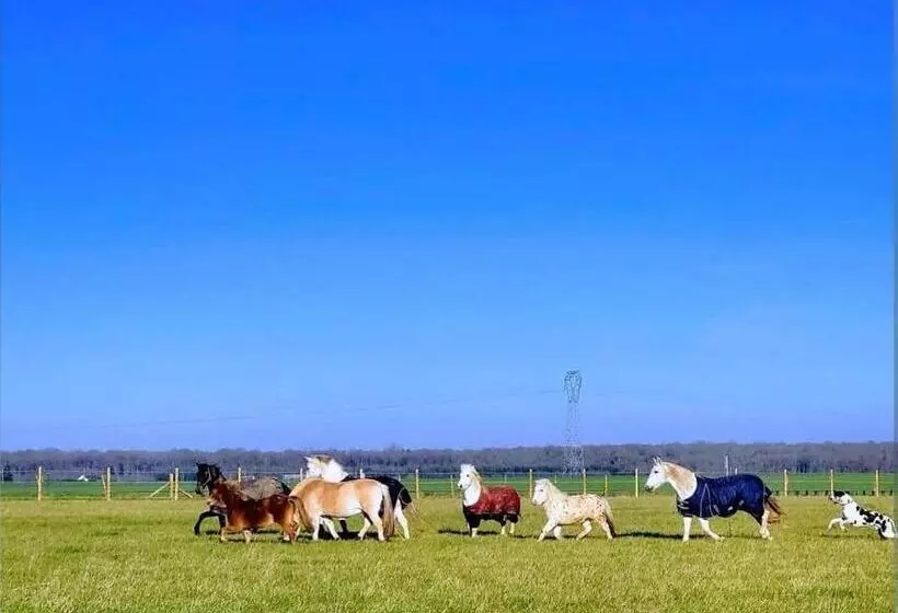 Aamiaismajoitus (B&B) Chambre D Hôtes Au Haras D Agathe Et Ses Princes