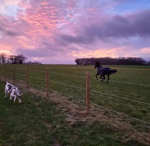 Aamiaismajoitus (B&B) Chambre D Hôtes Au Haras D Agathe Et Ses Princes