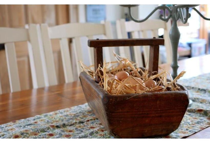 Bed and Breakfast Cherrygarth Cottage