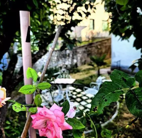 ベッドアンドブレックファースト Narnia E La Rocca Di Albornoz