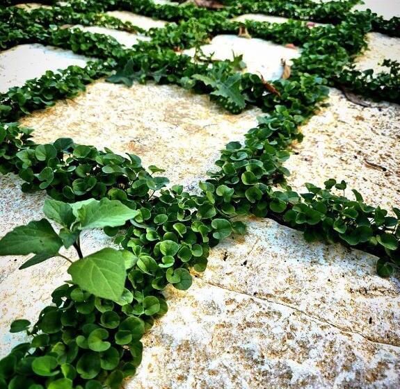 Nocleg ze śniadaniem Narnia E La Rocca Di Albornoz