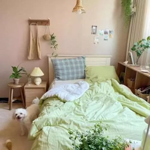 هتل Lyly Homestay