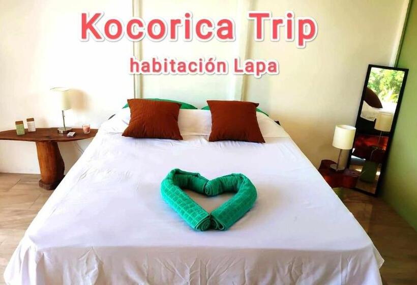 پانسیون Kocorica
