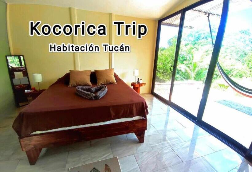 پانسیون Kocorica