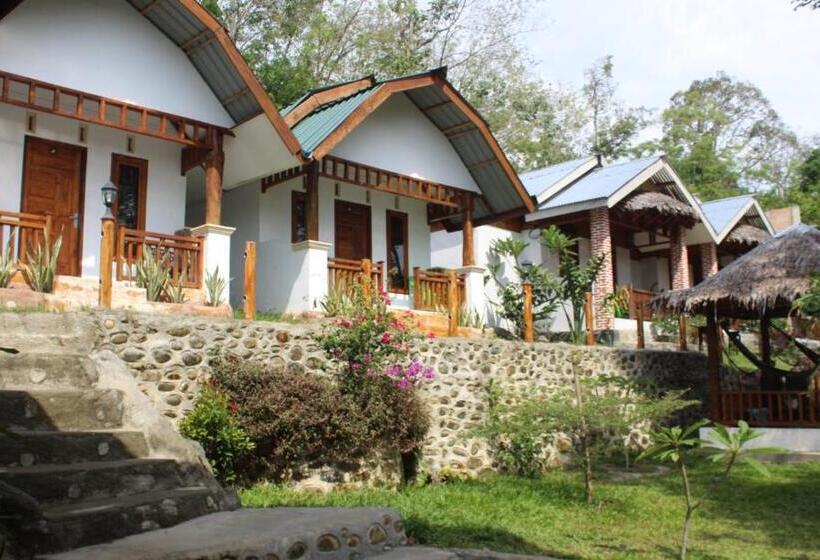 Pensão Bukit Lawang Backpacker Jungletrekking Only Booking With Us