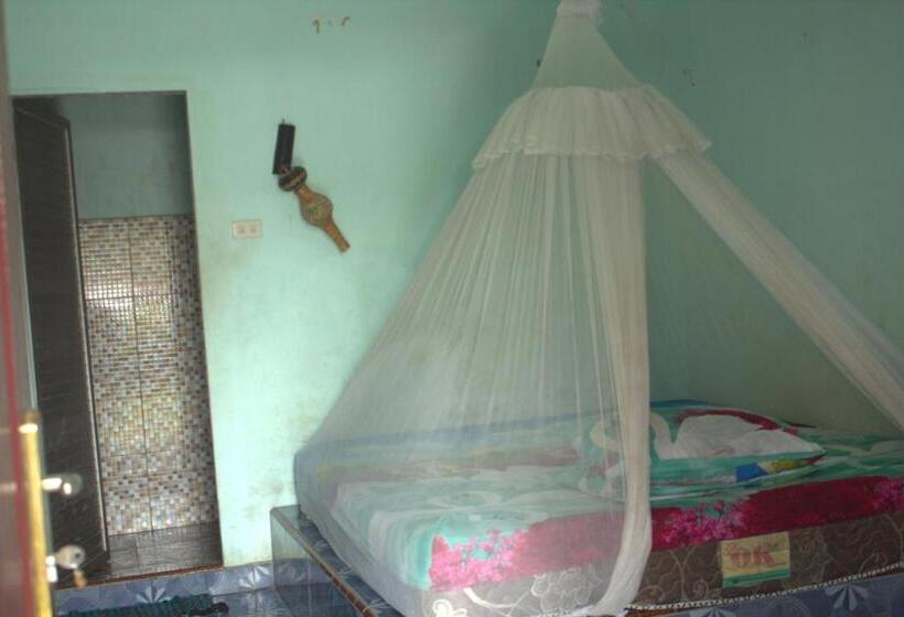 Pensão Bukit Lawang Backpacker Jungletrekking Only Booking With Us