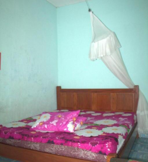 Pensão Bukit Lawang Backpacker Jungletrekking Only Booking With Us