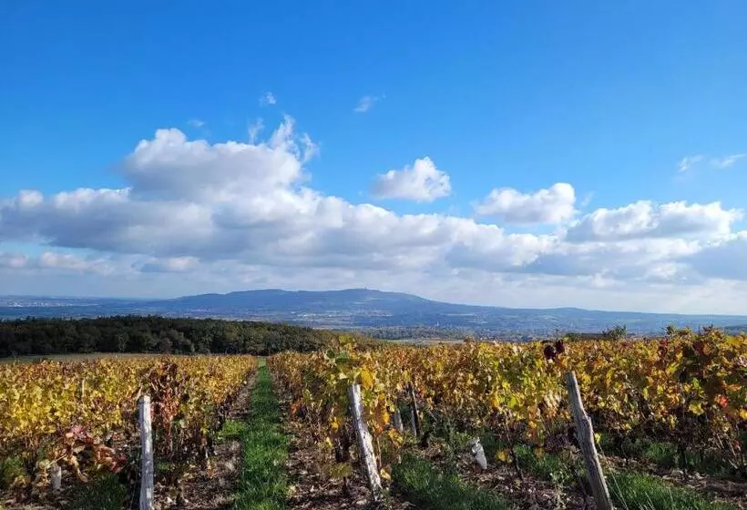 Aamiaismajoitus (B&B) Alix Au Pays Des Pierres Dorées