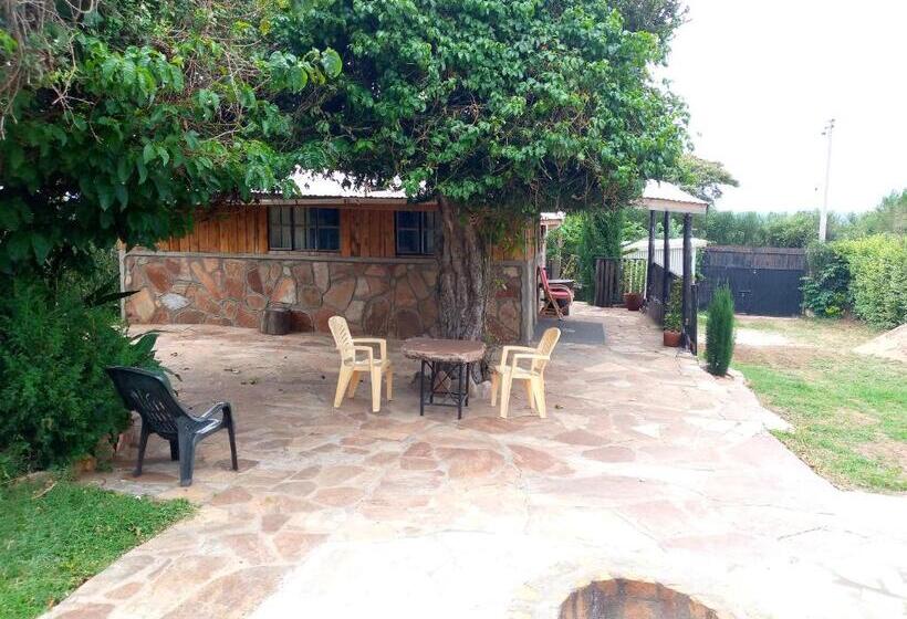 تختخواب و صبحانه Esam Homestay