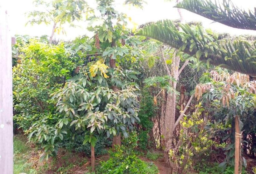 تختخواب و صبحانه Esam Homestay