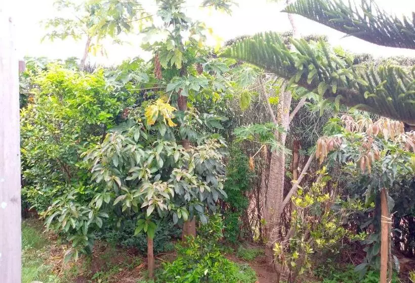 تختخواب و صبحانه Esam Homestay