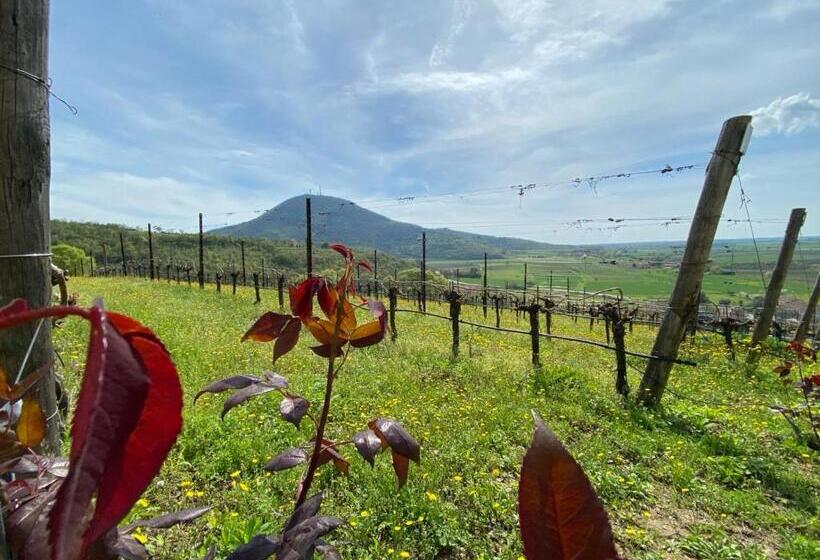 酒店 Azienda Agricola Ca  Lunga