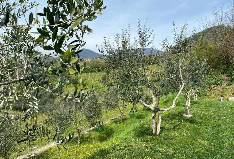 酒店 Azienda Agricola Ca  Lunga