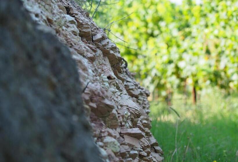 酒店 Azienda Agricola Ca  Lunga