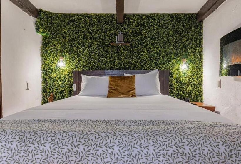 Hotel Cozy Little Romm On Palace Patio