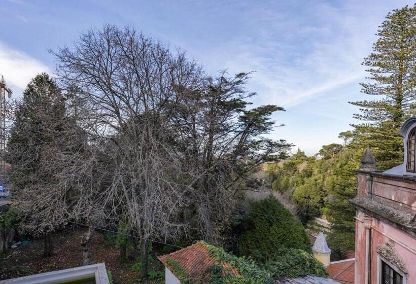 Hotel Cozy Little Romm On Palace Patio