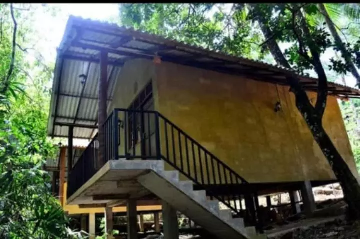 ホテル Dulma Sinharaja Resot