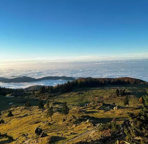 پانسیون črnuški Dom Na Mali Planini