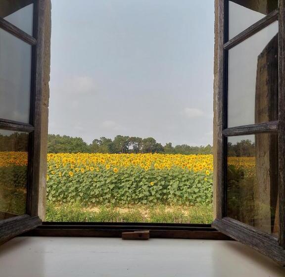 Bed and Breakfast Haou De Campagne