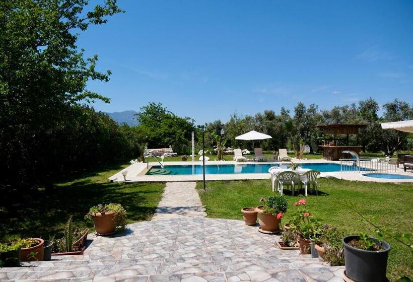 Bed and Breakfast Vahide Homes