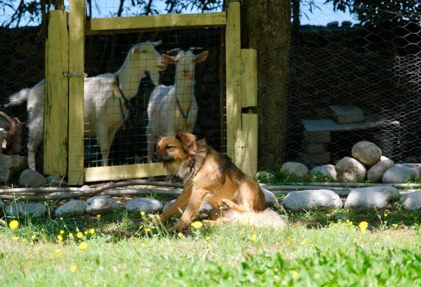 Bed and Breakfast Vahide Homes