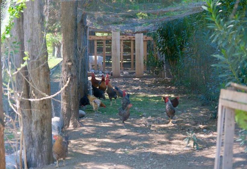 Bed and Breakfast Vahide Homes