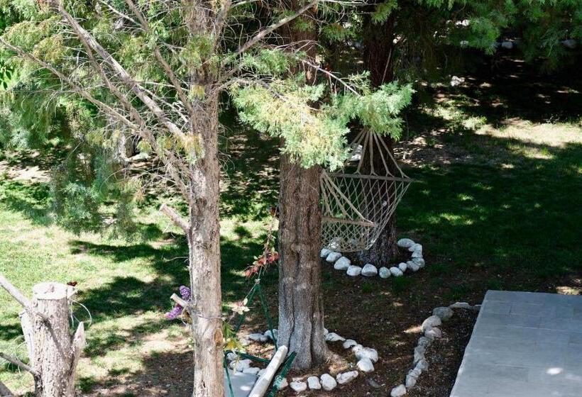 Bed and Breakfast Vahide Homes