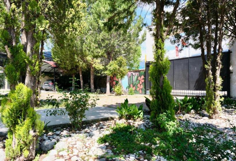 Bed and Breakfast Vahide Homes