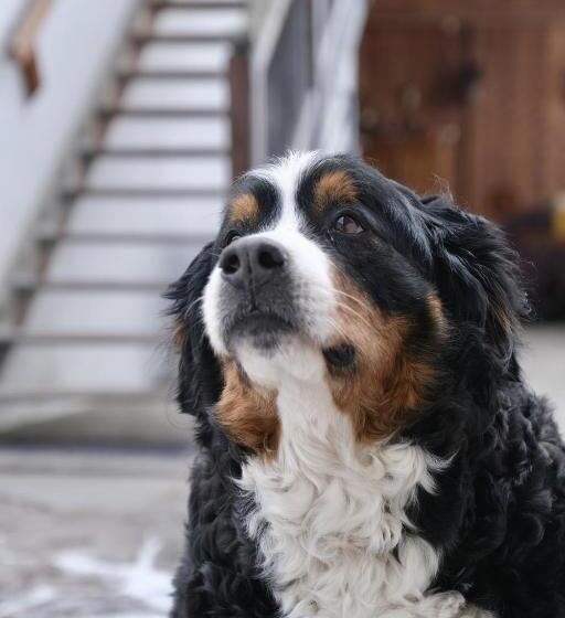 Отель Ausser Brugghof